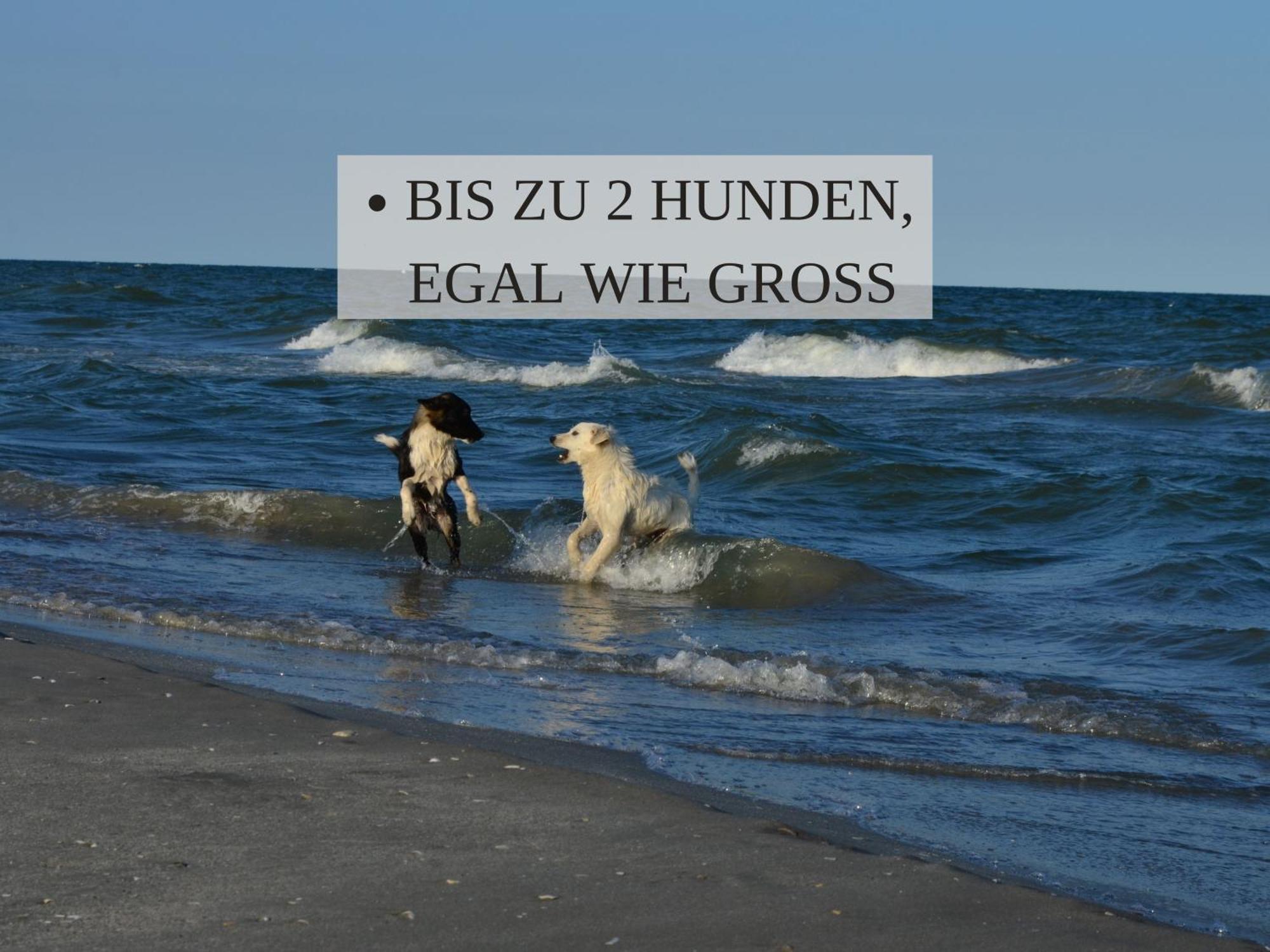 Haus Krabbe, Apartment 10, Naehe Bremerhaven, Fuer 1-2 Personen, 2 Schlafzimmer, Einzelbetten, Zweite Etage, Zentral Gelegen, Bis Zu 2 Hunden Kostenfrei Willkommen 弗雷门 外观 照片